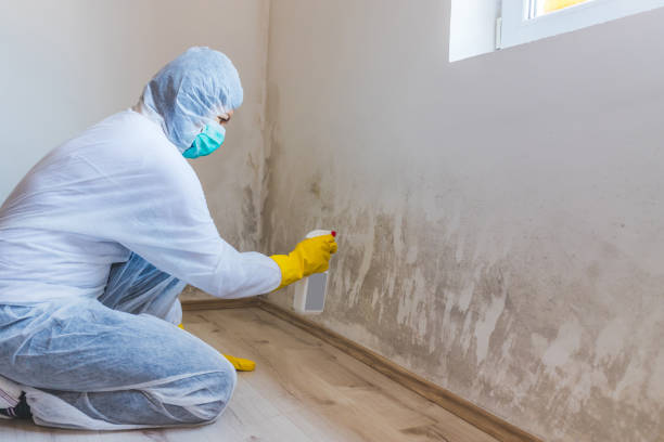 Hvac And Air Duct Mold Remediation inspection of HVAC system in Rougemont